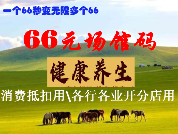 19800总代理培训大礼包