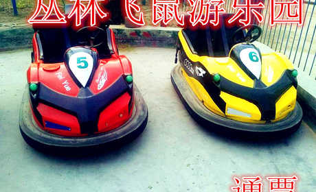 仅24元，享价值30元的【巩义】丛林飞鼠游乐园通票，含：门票一张，丛林飞鼠游乐园是一家集丛林飞鼠，碰碰车，乐吧车为一体的大型游乐园