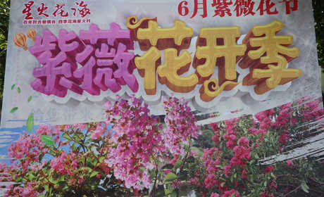 仅28元！即可购买最高价值30元星火花海热气球节活动票；【江油市】一个以草花为主，一个以木本花为主，相得益彰。正所谓：百年好合爱情谷，四季花海星火村！