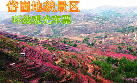 仅30元，享原价40元的岱崮地貌景区环线观光车票一张，无需预约，景区验证。岱崮地貌景区是休闲观光、地质研究、红色教育、寻幽探秘、摄影写生的最佳去处。