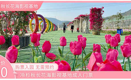 冷杉秋长花海影视基地成人门票