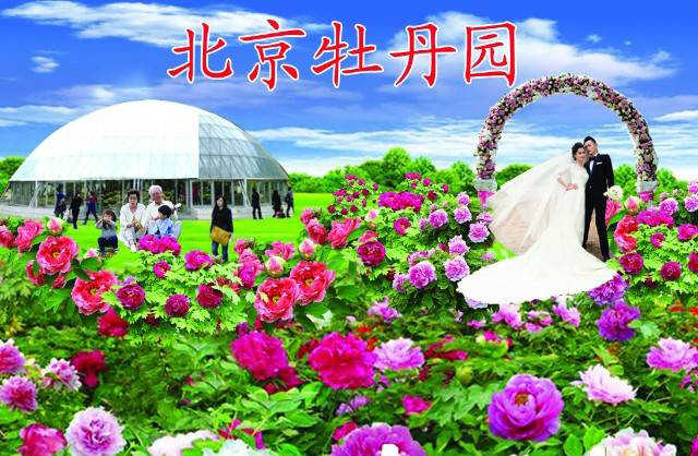 仅19.9元！享门市价30元的【北京】顺义牡丹园门票一张，优美的园区环境和儿童科普教育游乐设施还可供户外婚纱摄影、儿童科教等，欢迎您的光临。