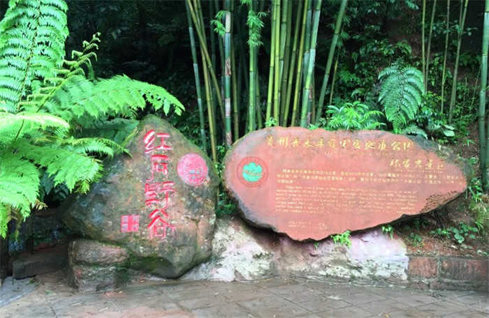 仅25就享受原价30元的【遵义】红石野谷景区门票单人票一张。红石野谷景区位于赤水市大同古镇华平河畔，距离市区16公里，森林覆盖率达95%以上。