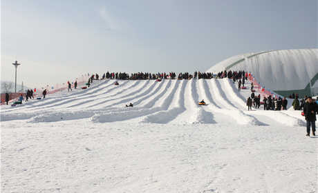 仅88元，享原价128元的【涞源】白石山冰雪节蓝鲸雪乐园成人票，有室内冰雕展示区、VR科技体验区、冰雪互动娱乐区，室外滑雪赛道、雪地娱乐项目及功能配套区。