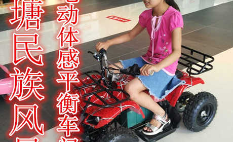 仅8元，享原价10元的【天津】西双塘民族风景区电动体感平衡车门票,含门票一张，兴尖顶青瓦，雕龙画风，古朴典雅。