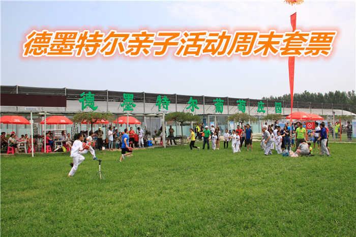 仅238元就享受488元的德墨特尔亲子活动套票周末票一张，1、手工多肉植物2、电影院3、葡萄园参观+讲解4、 户外攀爬5、儿童跳蚤市场 6；提供露营草坪（帐篷自备）