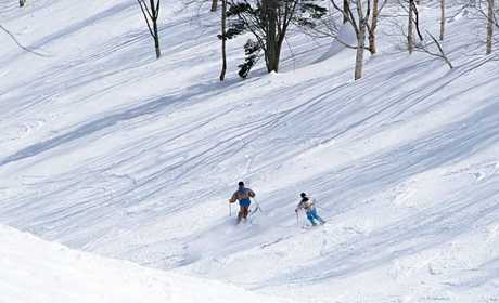 特价票29.9元！享门市价128元的【石家庄】秦皇古道滑雪场平日节假日滑雪门票，包含：滑雪场滑雪门票一张，总投资2000万元人民币，滑雪场功能齐全，设施完备，雪场内设有滑雪（草）运动区，娱雪活动区等。