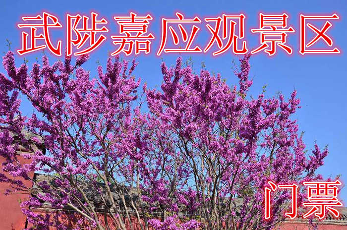 仅需58.8元，即可享受原价80元的【武陟县】嘉应观景区双人门票一张。
