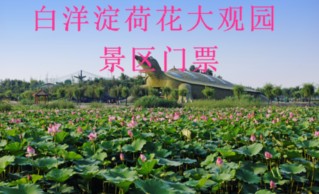 仅售35元！享受价值50元的【保定】白洋淀荷花大观园门票，景点特色：渔猎文化、民俗文化、历史文化、生态文化为基础，精心打造的国家级精品名园，是集旅游观光、休闲度假、会议教学、拓展训练的顶级景区。