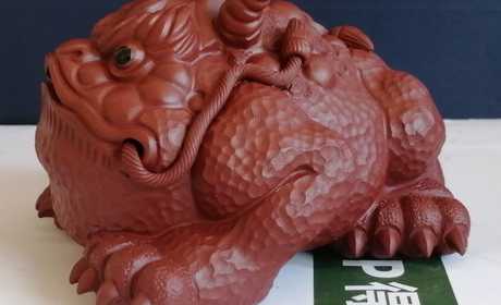 的观点是广泛的覆盖