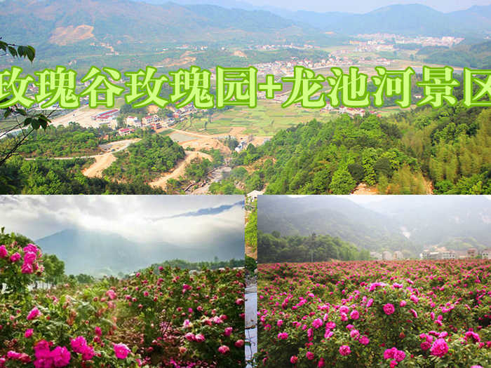 仅40元，享原价50元的【黄冈】玫瑰谷玫瑰园+龙池河景区套票，无需预约，超值优惠，还等什么，赶紧预定吧！