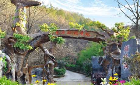 仅需40元，享原价60元的【南阳市】西峡蝙蝠洞景区门票一张；含：九个景区，依次为“白福厅”“龙宫”“蝙蝠王宫”“演武厅”“天琴厅”“迎宾厅”“无底洞”“瑶池宫”“海底长廊”九个梦幻景区连缀而成；