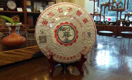 300年藤条      2016年秋