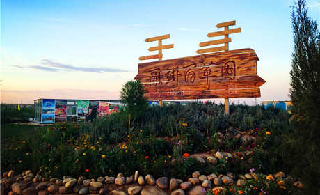 仅128元！享原价168元的【石家庄】百草园通票；包含：门票、CS、骑马、射箭、迷宫、儿童乐园、游泳。百草园一期规划面积500余亩，其中主要有：薰衣草、牡丹、桔梗、穿插种植瓜蒌、核桃树等。