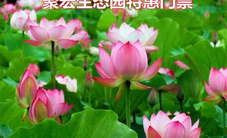 仅需9元！享原价30元的【辉县市】聚宏生态园景区特惠门票一张，另赠送10元代金券一张，可用于园区内产品消费！草长莺飞、花开成海，来一场说走就走的旅行，再美不过！