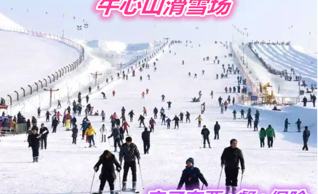 仅98元就享受118元的【右玉县】牛心山滑雪场亲子套票+保险+餐一张含：保险、餐、滑雪、雪具、衣服、柜子、雪鞋、雪杠、雪板，远离喧嚣，抛弃烦恼，畅快体验激情滑雪！