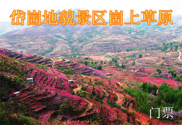 仅35元，享原价40元的岱崮地貌景区崮上草原门票一张，无需预约，景区验证。岱崮地貌景区是休闲观光、地质研究、红色教育、寻幽探秘、摄影写生的最佳去处。