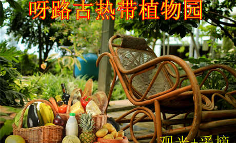 仅108元，享价值168元【大兴】呀路古热带植物园观光+采摘券一张。本单含：观光门票1张、价值108元采摘券1张。无需预约，观赏热带植物奇景，呼吸自然纯净空气，给自己的生活加加氧！
