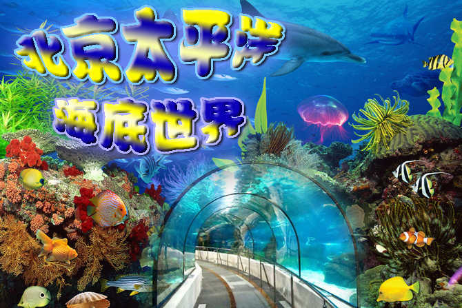 仅80元，享价值120元的【海淀】太平洋海底世界参观门票！无需预约，官方授权，1.2米以下儿童免费！