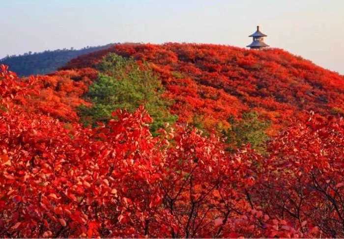 【运城市】望仙大峡谷成人票