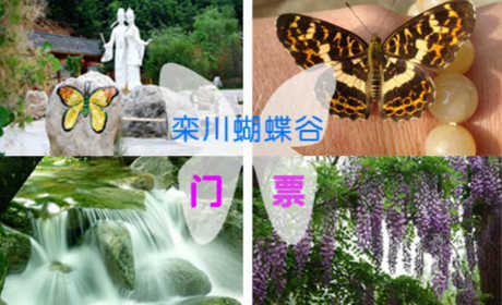 仅40元，享原价50元【洛阳】栾川蝴蝶谷风景区套票一张，四季气候宜人，是休闲避暑、寻幽、探险、昆虫科普的绝佳去处！
