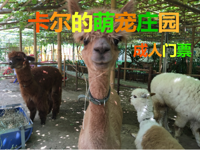 仅38元！即享原80元的【北辰区】卡尔的萌宠庄园成人门票，包含：热带植物观光和小动物观赏，总营业面积达两万平米,其中包含占地13000平米的热带亚热带植物区,萌宠小动物区