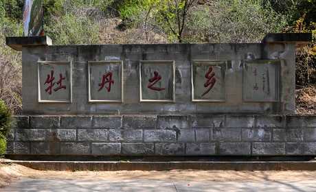 仅33元即可享受原价35元【延安】万花山景区门票一张；景区所在花源屯村是巾帼英雄花木兰的故乡，被誉为“木兰故里，牡丹之乡”。