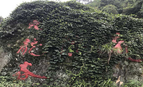 仅78元！即可购买最高价值128元九龙谷漂流成人票；【金华市该段山涧既有腾云驾雾的九龙山群峰，又有天人合一的古村落，漂流全长2公里，总落差150多米，河道设计科学安全，又惊险独特，水浪飞流直下；