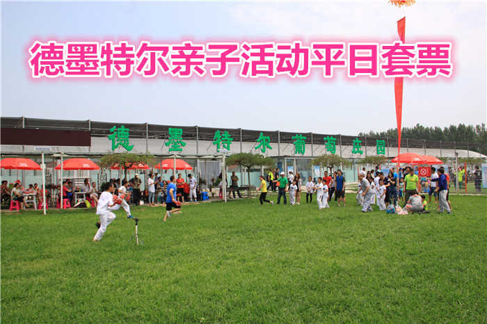 仅198元就享受458元的【房山】德墨特尔亲子活动套票平日票一张，1、手工多肉植物2、电影院3、葡萄园参观+讲解4、 户外攀爬5、儿童跳蚤市场6；提供露营草坪（帐篷自备） 7、水上乐园。