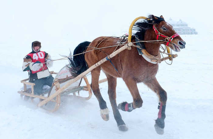 仅49元即可享原价60元的【天津】天津百亩冰雪大世界1小时雪圈门票，包含：门票+雪圈