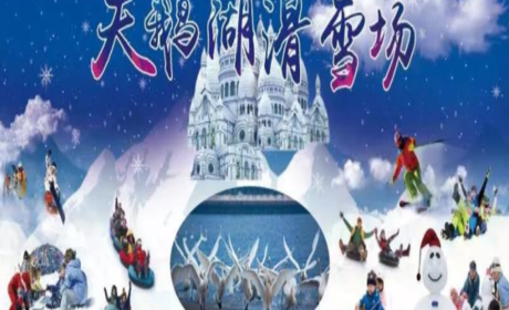 仅需15.8元，即可享受原价20元【三门峡】文博城天鹅湖滑雪场儿童票一张。包含：大门票一张。