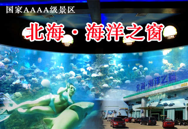 仅88元，享市场价138元的北海海洋之窗4A景区门票！（不含4D影院）有海洋生物标本，航海展览，人与鲨鱼互动表演等！是一座引领海洋科技时尚、传播海洋文化品位、领略海洋无限风光的大型综合性海洋博览馆！