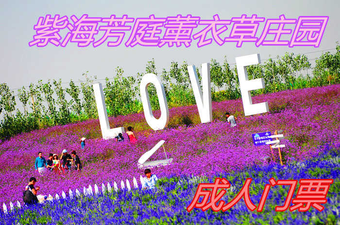 仅50元！享价原价65元【磁县】紫海芳庭薰衣草庄园成人门票，包含：门票一张，位于邯郸市磁县光禄镇溢泉湖景区东侧，占地200亩，西靠溢泉湖度假区，东临南水北调景观带。