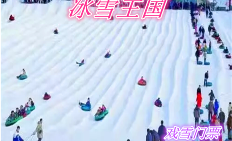 仅12元就享受20元的【运城市】冰雪王国戏雪门票一张、含：冰雪王国2017新春“同”乐会    “鸡”祥如意过大年   “鲸”喜连连闹新春。