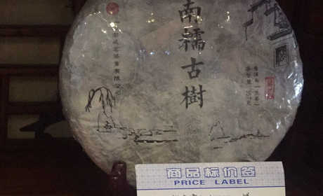 南糯古树  2016年春