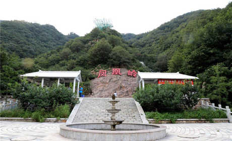 仅45元，享原价50元的【唐山市】凤凰岭景区门票，凤凰岭山高崖险、洞秘泉美、石奇林茂，景区森林覆盖率达95%，是一处难得的天然氧吧。景区全部被原始次生态林所覆盖，花开时节漫山黄花。
