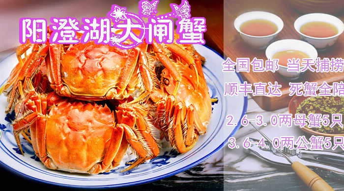【全国顺丰包邮】仅288元，尊享原价798元的正宗澄仔牌阳澄湖大闸蟹（10只），含：2.6-3.0两母蟹5只，3.6-4.0两公蟹5只，内设冰袋  另送：蟹醋一瓶，吃蟹工具（三件套）一件，姜茶(3小包