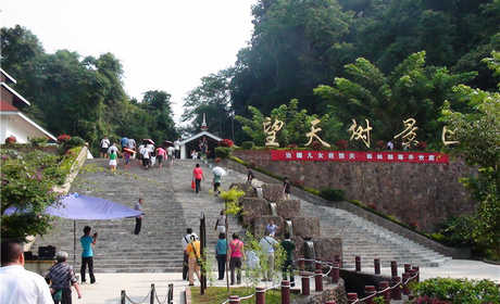 仅170元，享原价198元的【西双版纳】望天树成人套票（大门票+单程游船+树 冠走廊/玻璃廊桥），走进望天树，亲近热带雨林，感悟大自然给我们生活的启示，涤荡心灵！