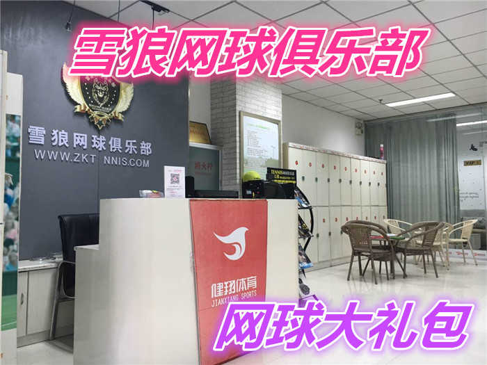 仅299元就享受599元的【周口市】雪狼网球俱乐部（网球大礼包）含：网球拍一只+网球两个+吸汗袋+网球线+避震器