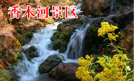 仅48元，享原价80元的【新乡】香木河景区成人门票，香木河自然保护区常年活动着太行猕猴、金钱豹、野獾、野猪、野兔、苍鹰等几十种野生动物和飞禽，有“天然动物 园”之誉；各种花草树木上百种，中草药近千种