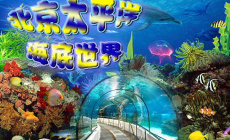 仅80元，享价值120元的【海淀】太平洋海底世界参观门票！无需预约，官方授权，1.2米以下儿童免费！