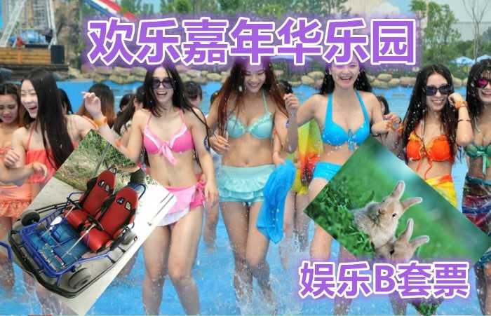 仅需88元享受145元【北京】欢乐年华游乐园娱乐B套票，含：智能水果靶枪、卡丁车1圈、观光小火车、动物园、智能倒靶枪、森林迷宫。