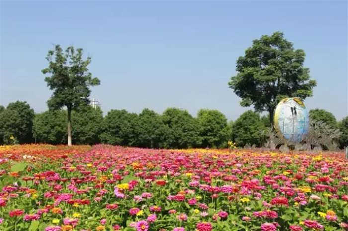 仅30元，享原价40元的【荆门】彭墩乡村世界成人票。彭墩是一个古老而神奇的村庄，彭墩乡村世界景区是一个看得见山、望得见水、记得住乡愁的休闲旅游胜地。