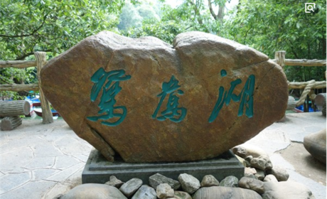 仅29元，享原价30元的【黔南州】大小七孔景区鸳鸯湖划船成人票。大七孔景区以原始森林、奇峰溶洞、峡谷伏流为主要景观，其中的惊险神奇，气势磅礴，令人激情澎湃，流连忘返。