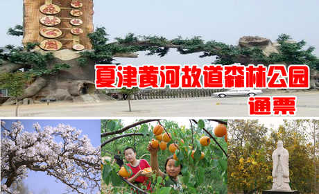 仅35元，享原价50元的德州夏津黄河故道森林公园景区通票。环境幽静，风景绝佳，美不胜收，令人心旷神怡，犹如人在画中游，亦真亦幻，全然忘却尘世间的喧嚣与烦恼。