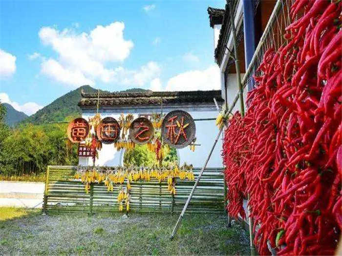 仅40元就享受56元的【泾县】黄田景区门票一张，整个村落镶嵌在青山绿水之中，境内有保存完好的清代古民居建筑群，是珍贵的历史文化遗产，现存古建筑57处，单体建筑110栋，建筑面积3.3万平方米，