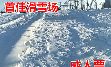仅45元，享价值50元【商丘市】首佳滑雪场滑雪成人票一张，含保险，可供一人使用，享数十个雪圈滑道，另有戏雪乐园；
