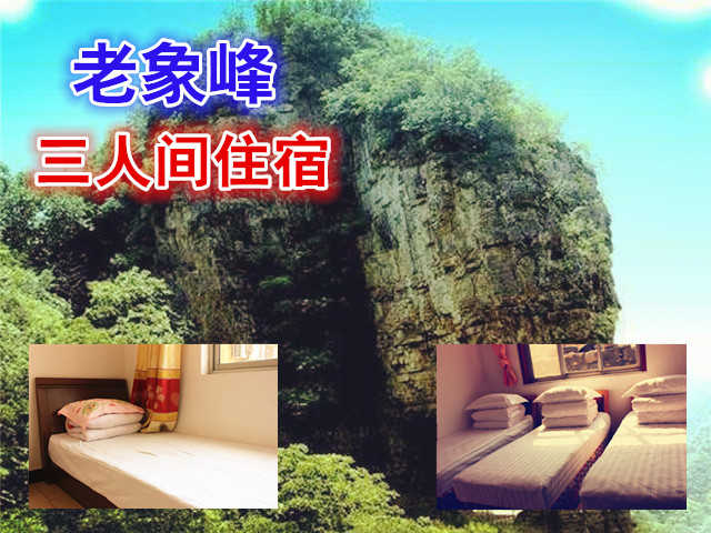 仅150元，享原价180元的老象峰三人间住宿一晚，温馨住宿，豪华服务，消除生活中的所有烦躁！
