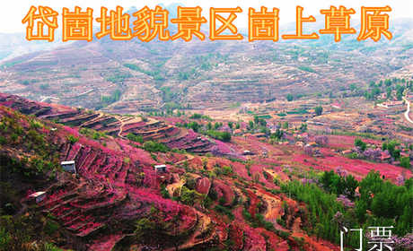 仅35元，享原价40元的岱崮地貌景区崮上草原门票一张，无需预约，景区验证。岱崮地貌景区是休闲观光、地质研究、红色教育、寻幽探秘、摄影写生的最佳去处。
