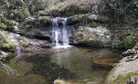 仅40元，享原价45元【十堰】太和梅花谷景区门票，在梅花谷里名胜古迹众多，山水风光秀丽，特别是万亩野生腊梅群，国内罕见，堪称一绝。
